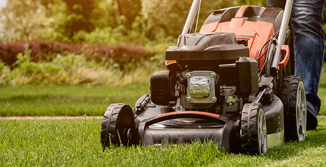 narzedzia-ogrodnicze-vendor