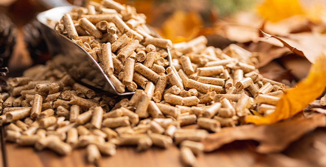 pellet-drzewny-vendor